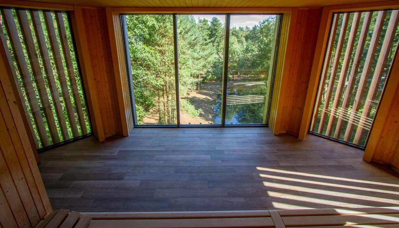 View looking out at the forest in the Treetop sauna.