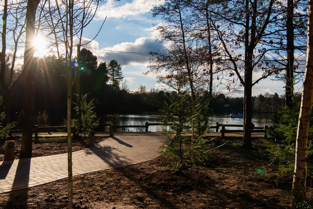Sherwood Forest lake.