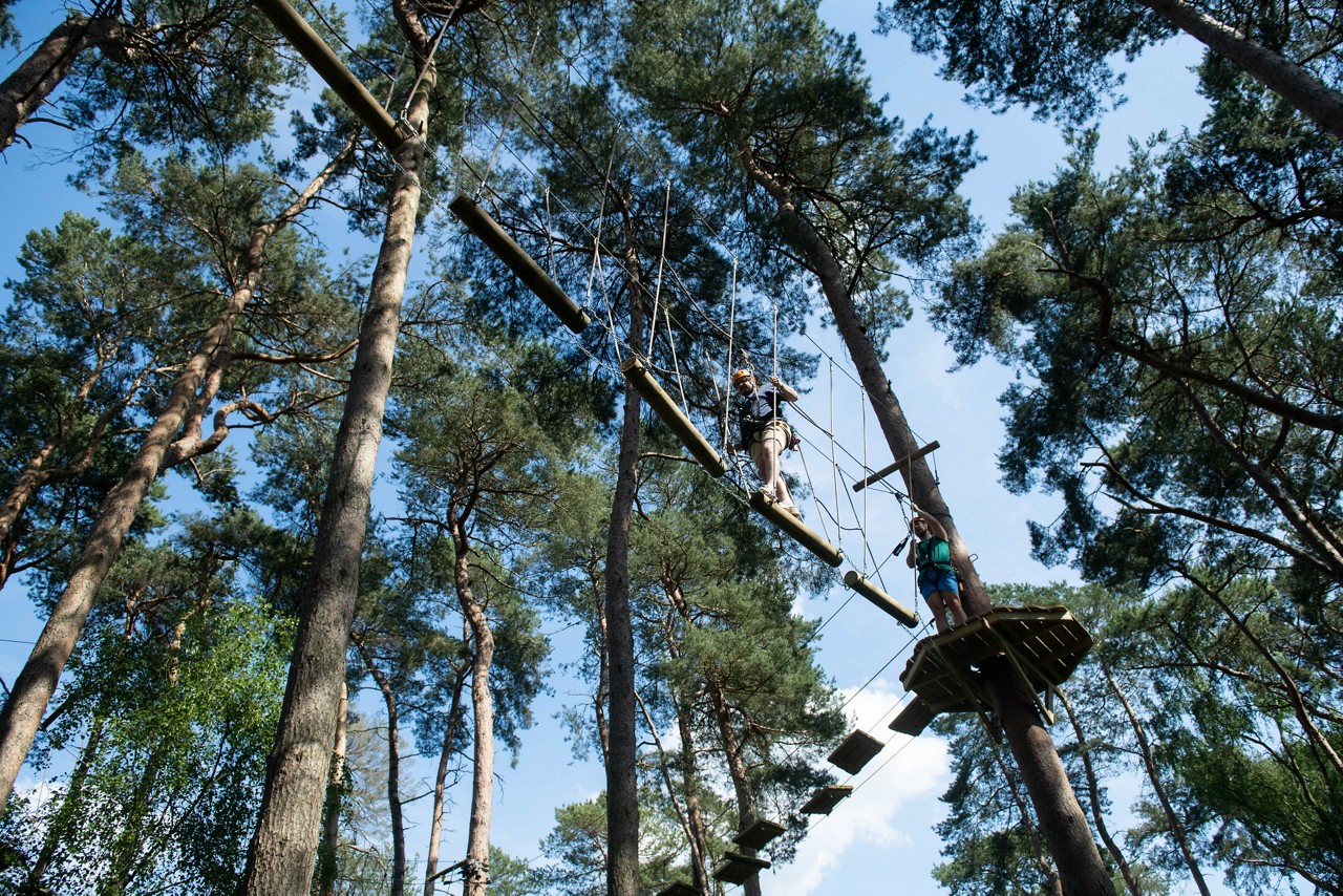 Delegates doing Aerial Adventure in the forest.