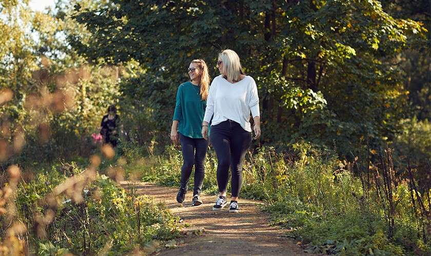 Delegates walking through the forest.