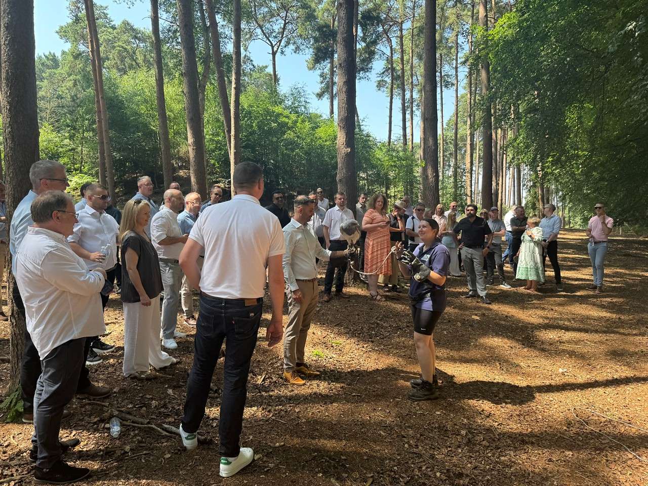 Furniture Village team members stood in the forest during a team building activity