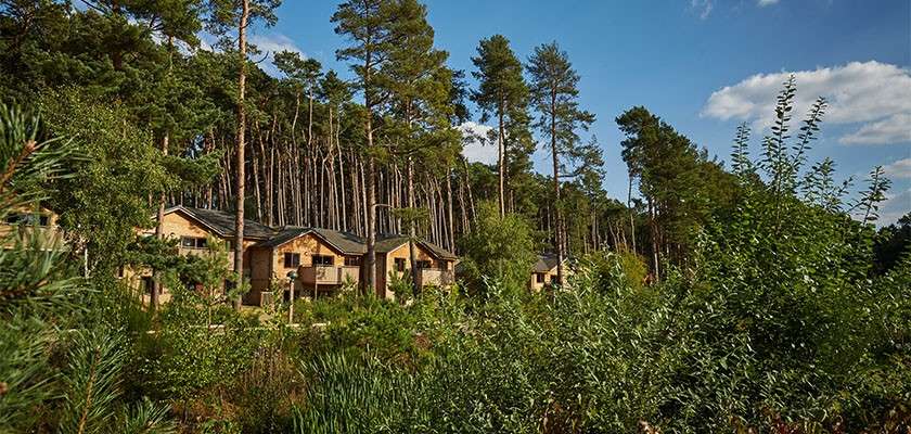 Lodges in the forest