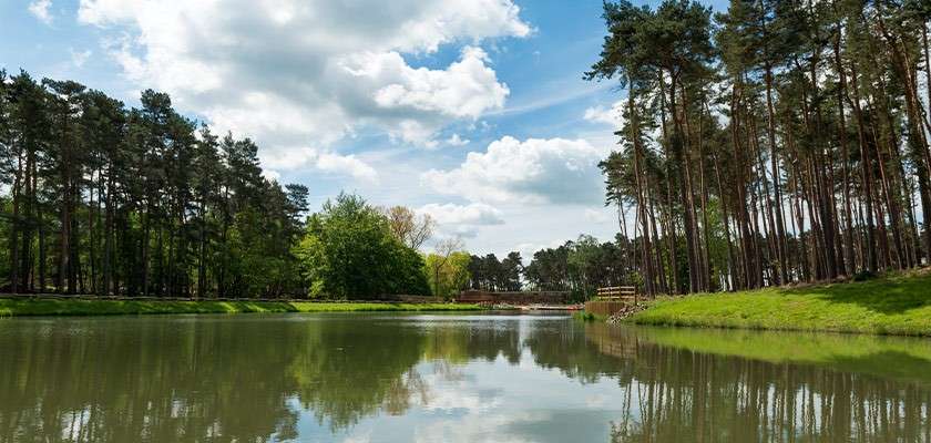 Lake at Woburn Forest.