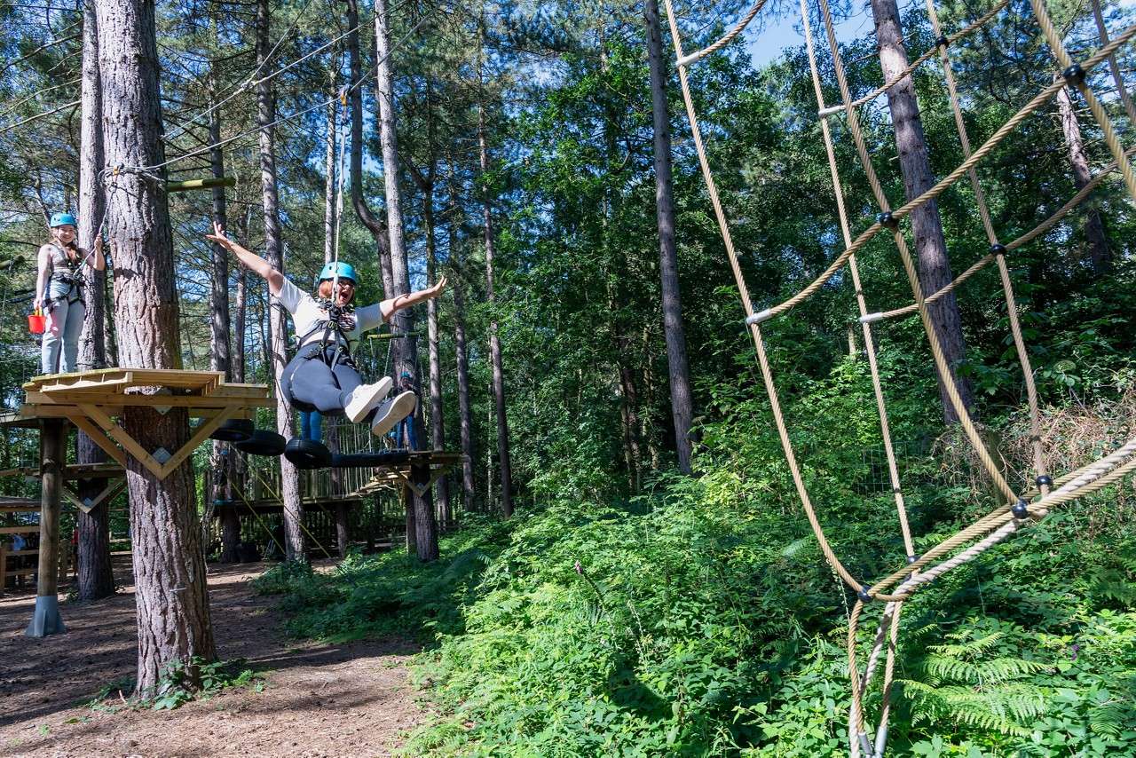 B2B - Aqua Tree Trekking