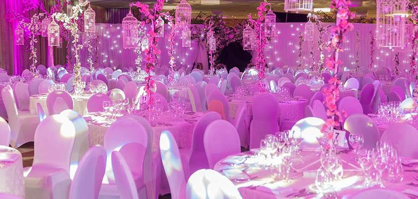 Room decorated for an event with white table cloths and seat covers, pink flowers, and pink mood lighting