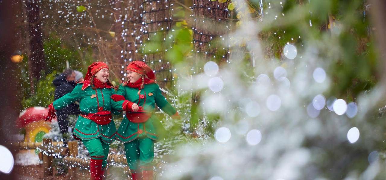 Festive meetings.