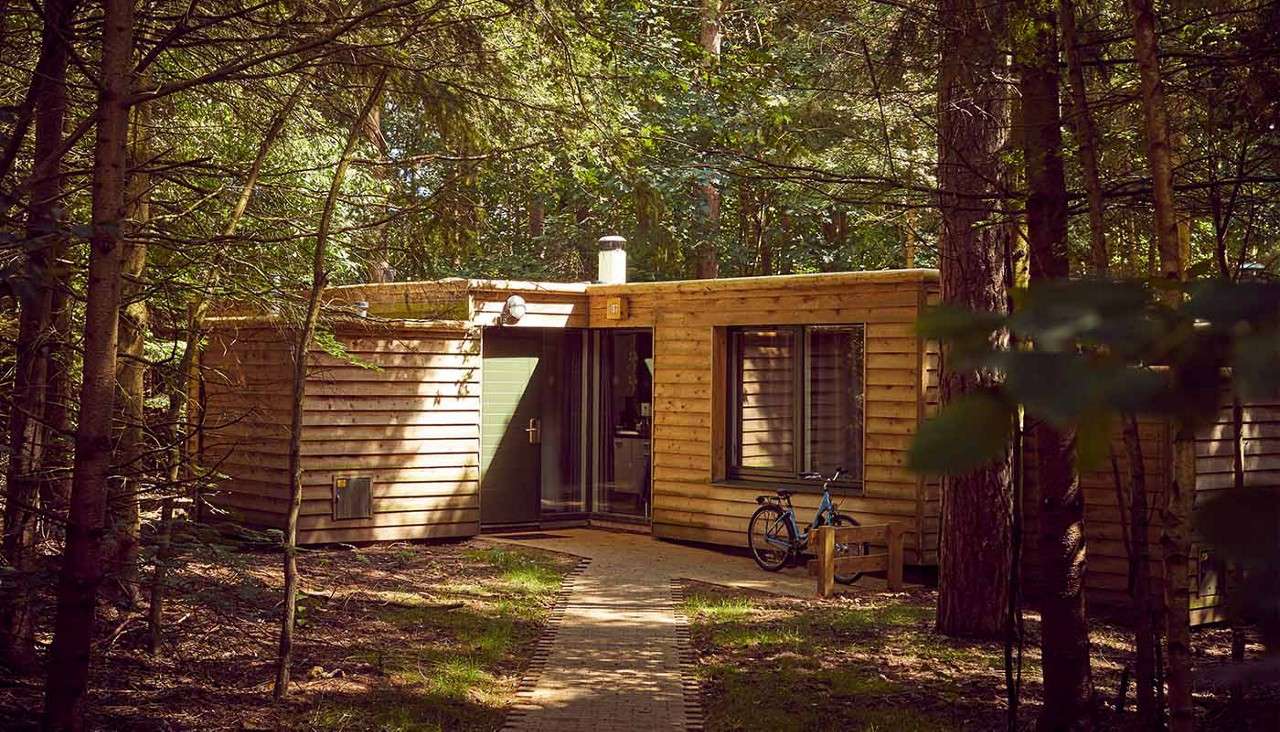 Woodland Lodge at Sherwood Forest.