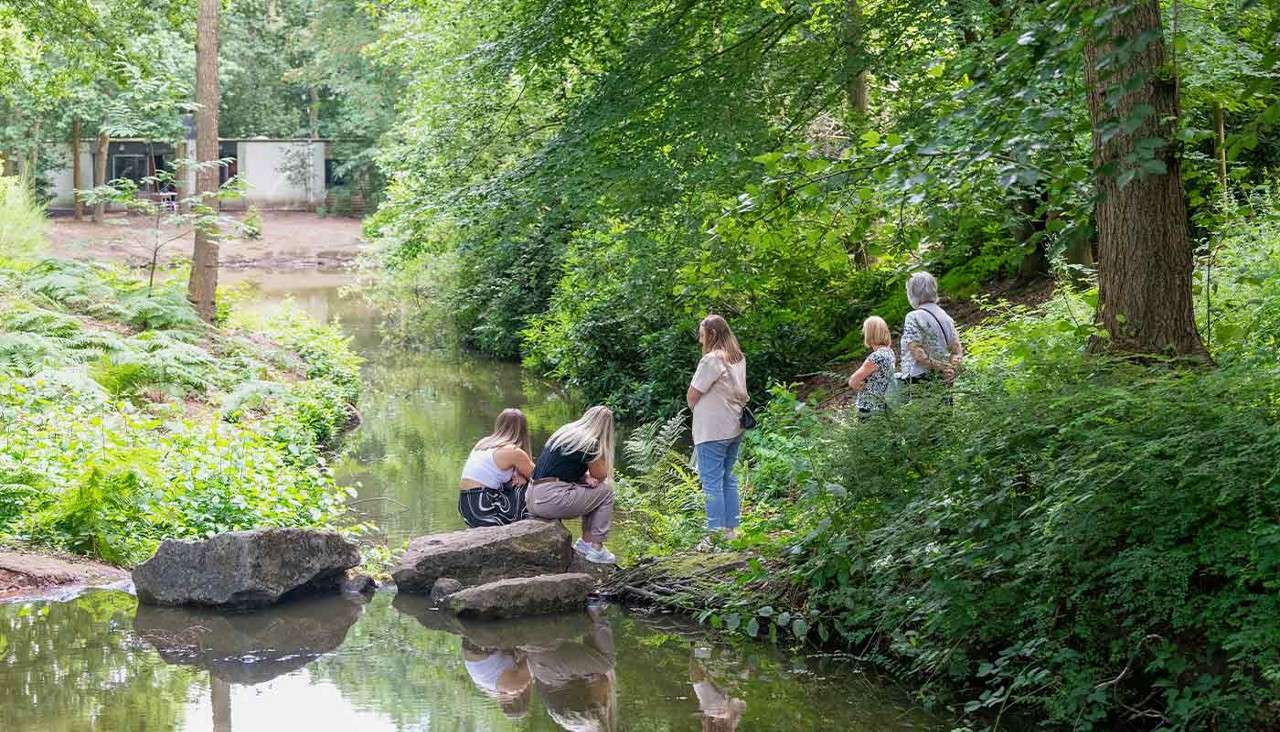 Delegates looking at the lake in the forest.