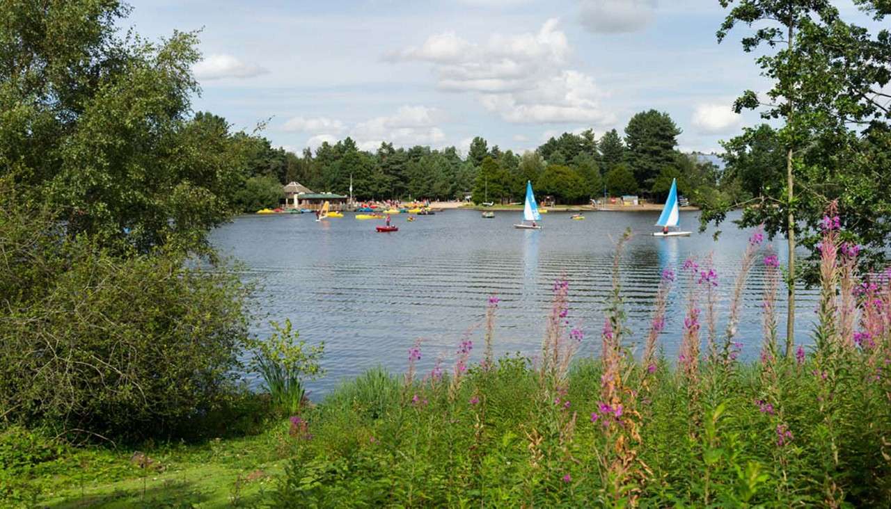 Sherwood Forest lake. 