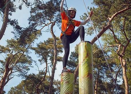 Delegates using teambuilding activities in the forest.