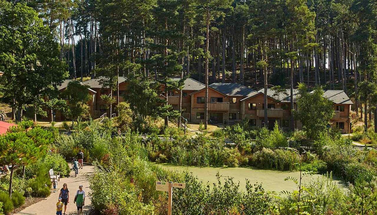 Woburn Forest scenery with accommodation in the background