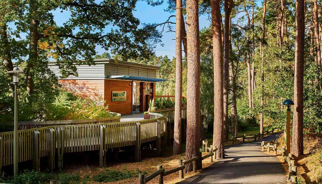 Approaching The Venue through the forest