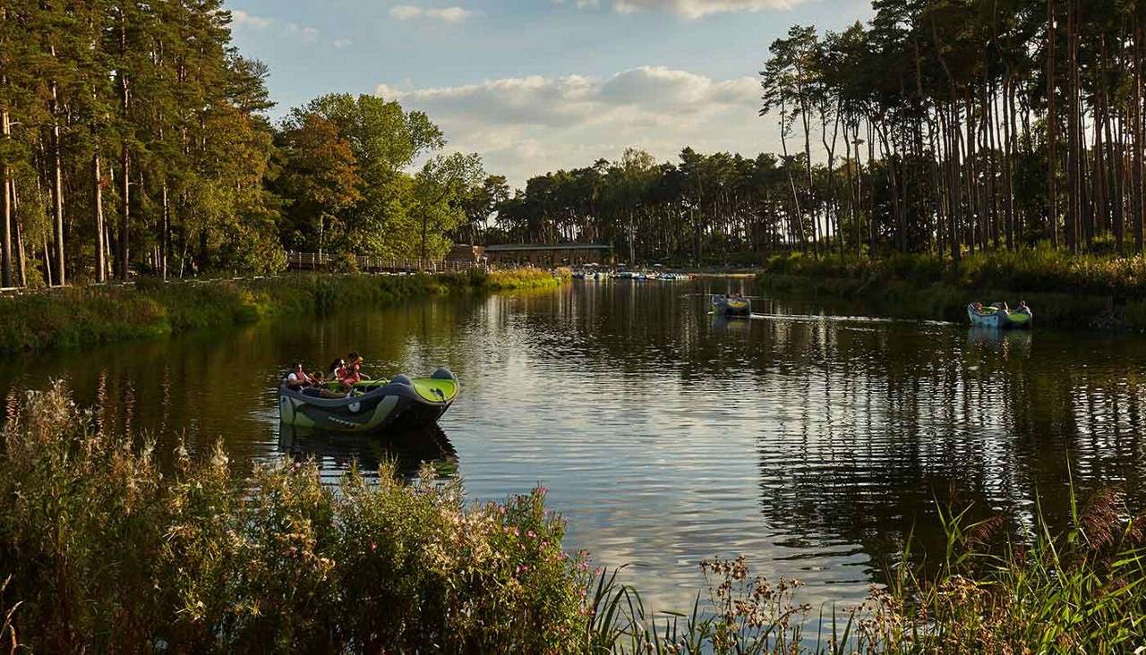 Woburn Forest lake with a group on an electric boat