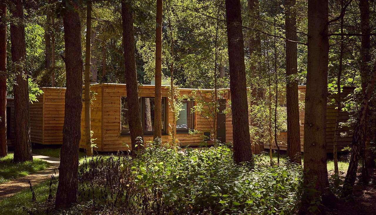 Wooden cabin rests amid tall trees, partially hidden by trunks and leaves, as sunlight filters through a dense forest, casting dappled shadows on its windows and surrounding undergrowth.
