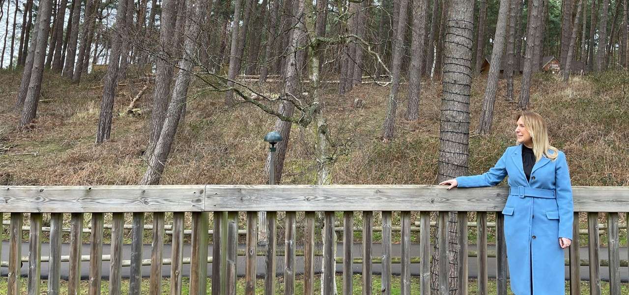 Cat Bird on the terrace overlooking the forest