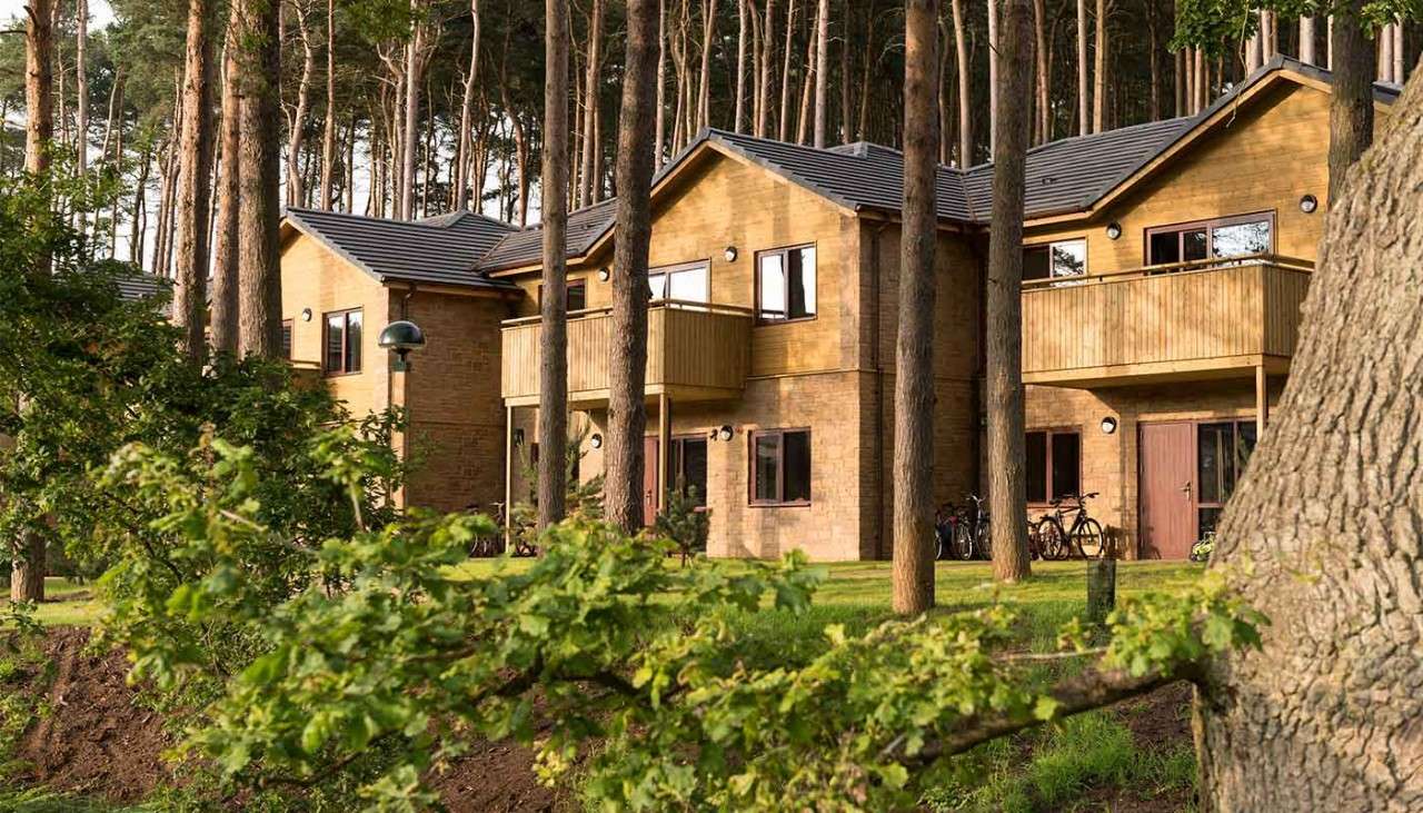 Exterior image of lodges in the forest.