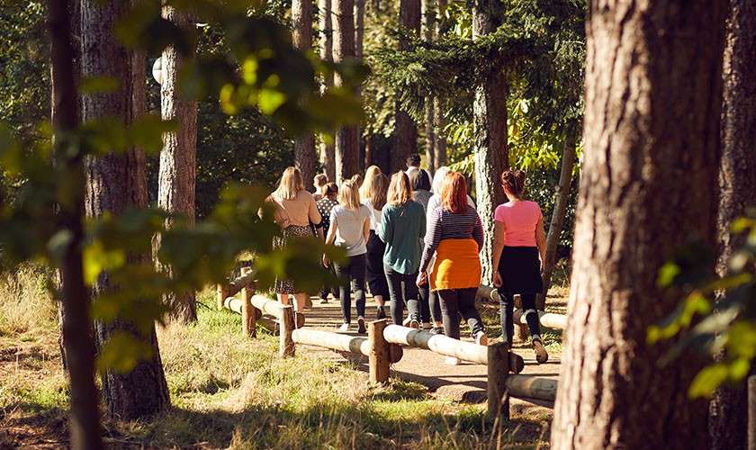 Group of delegates walking in the forest
