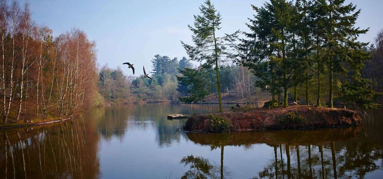 Sherwood Forest lake.