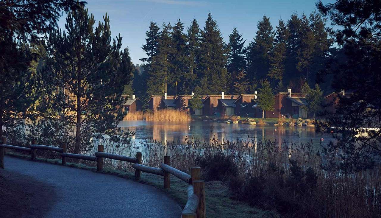 Lodges at the lakeside, amongst the tree's.