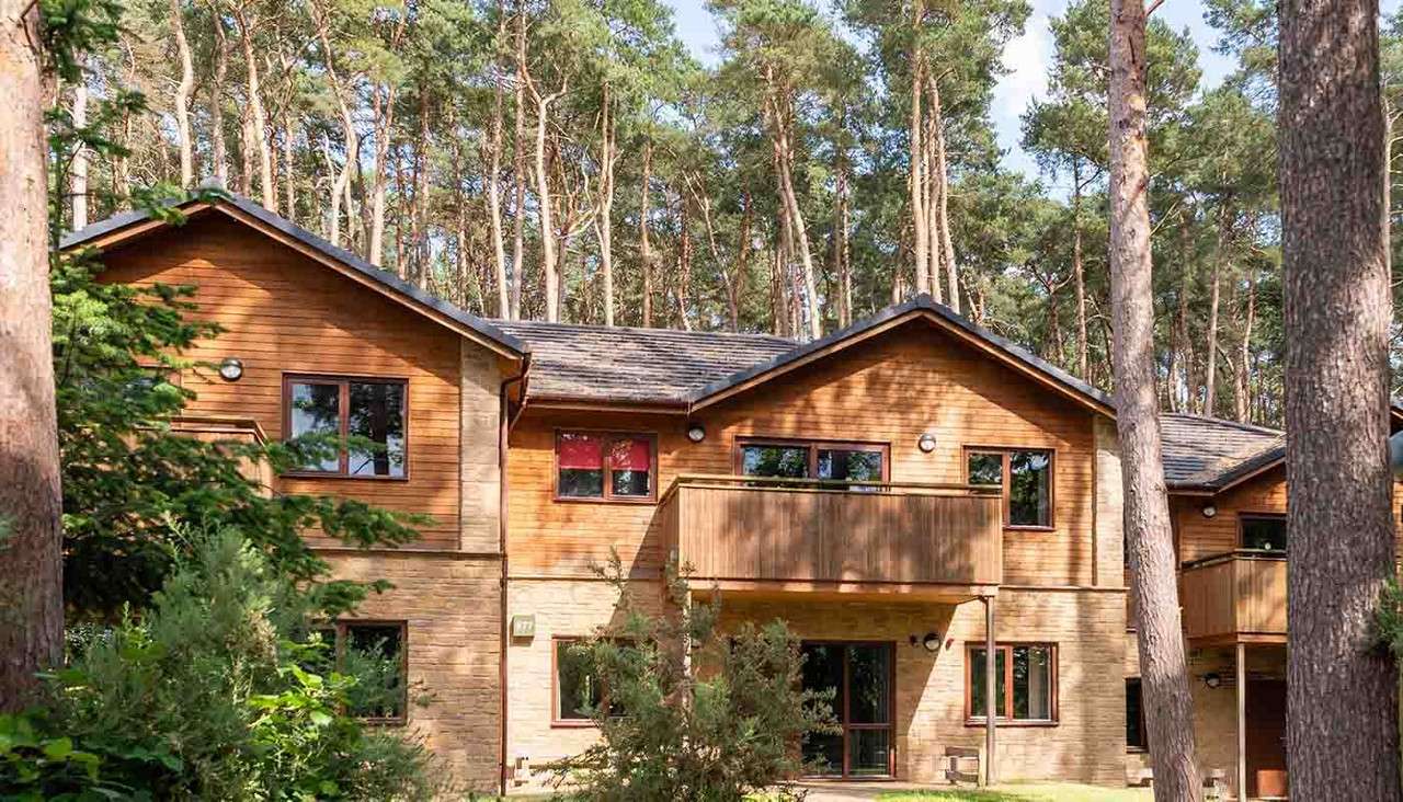 Lodges in the forest.