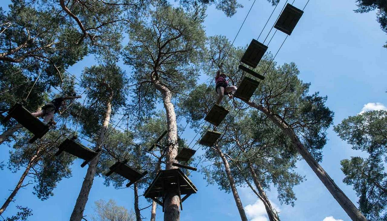 Aerial Adventure activity.