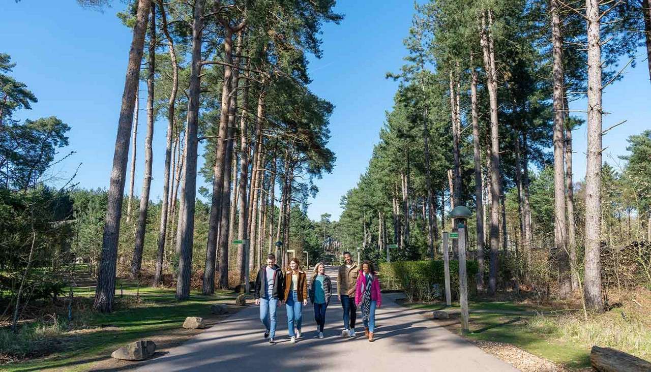 Delegates walking through the forest.
