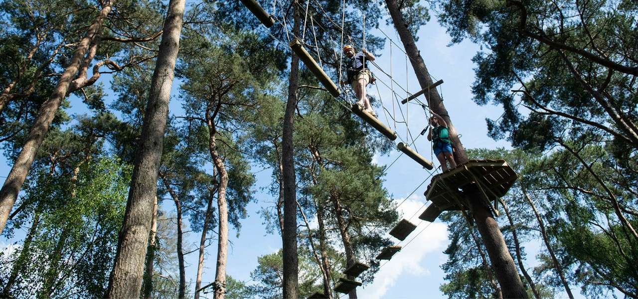 Aerial Tree Trekking