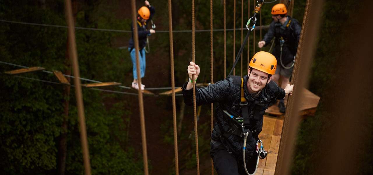 Aerial Tree Trekking