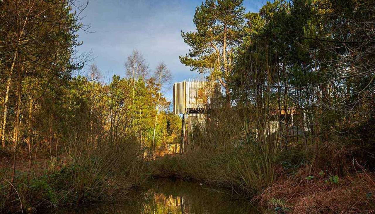 Treetop Sauna amongst the trees at Sherwood Forest.