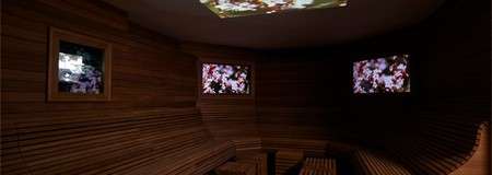 Relaxing space with multiple views of nature on the walls and ceiling.
