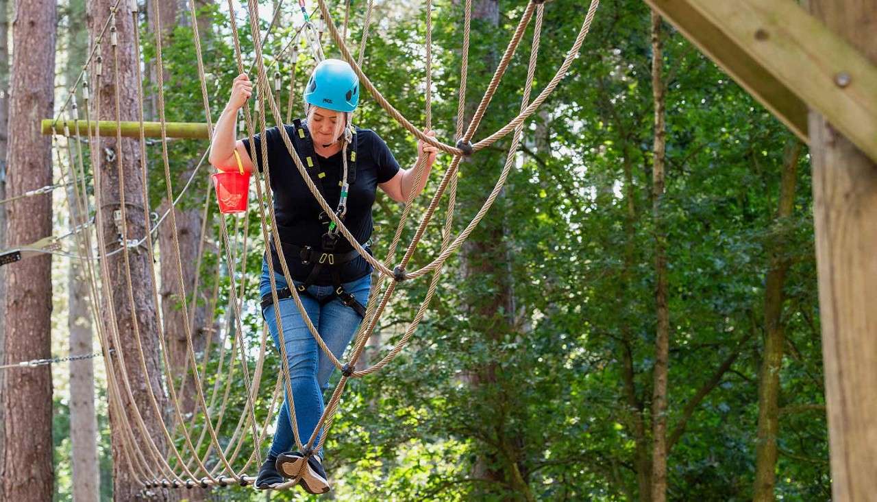 Aqua Tree Trekking