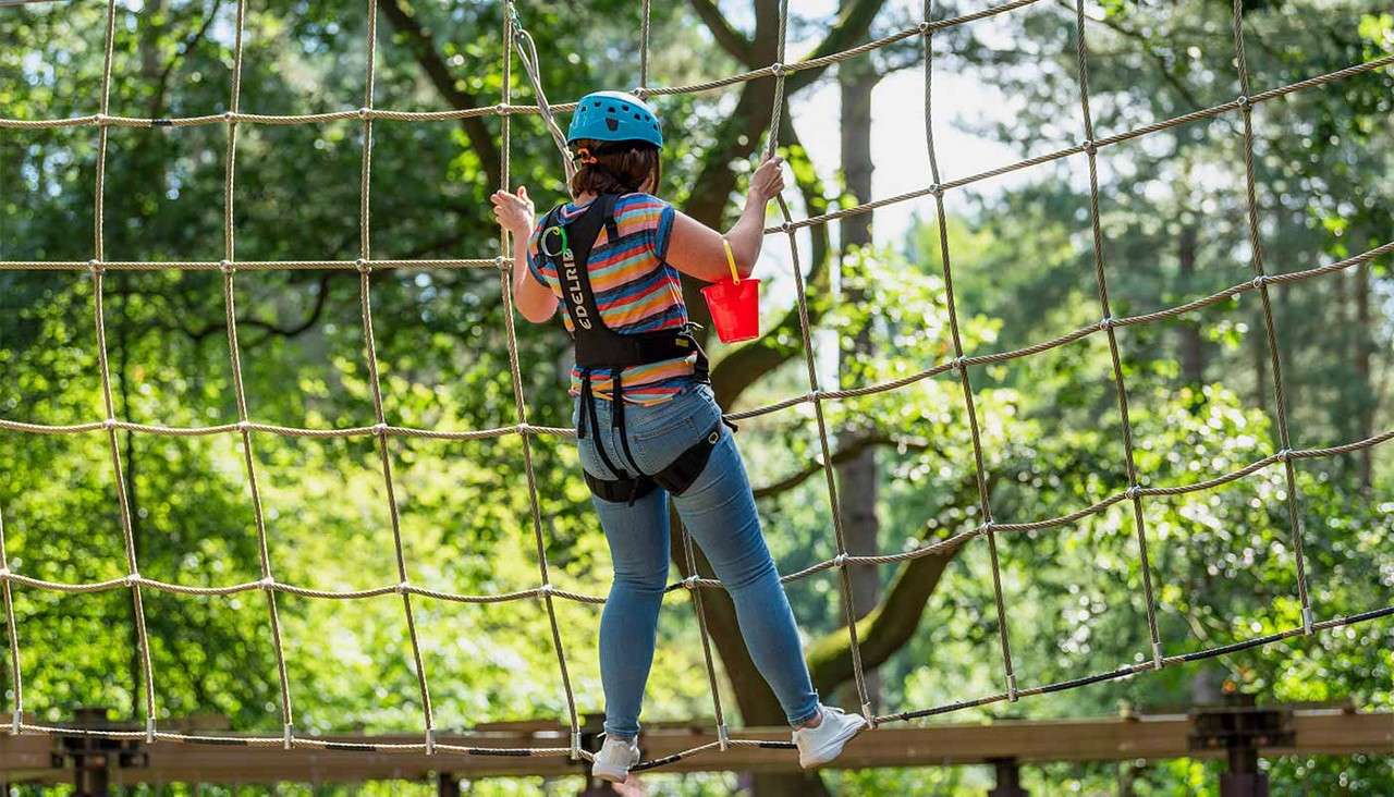 Aqua Tree Trekking
