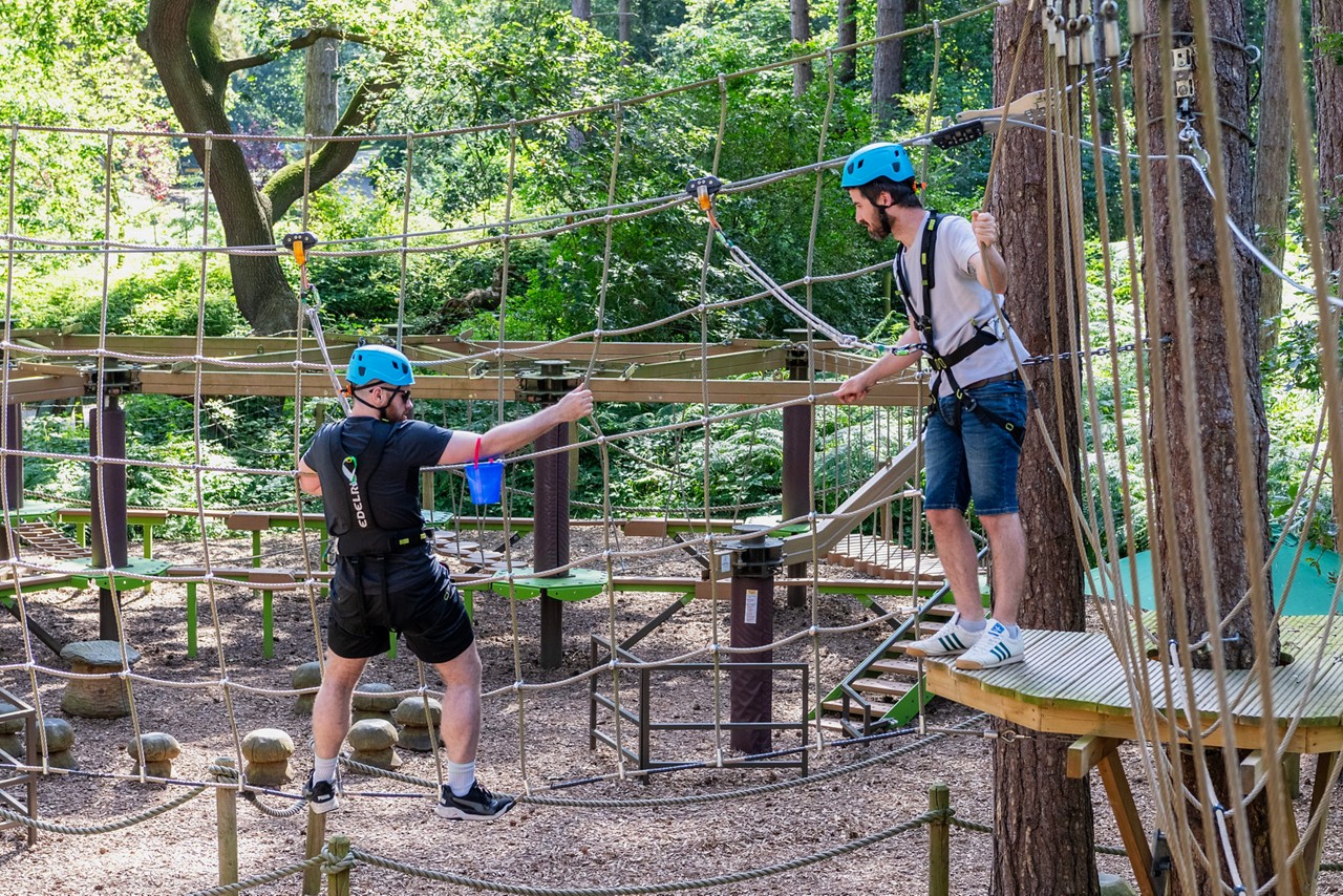 Aqua Tree Trekking